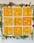 JASMINE COE Honeybee Series 8