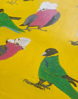 JEFFREY LEWIS Jeffrey's Birds