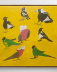 JEFFREY LEWIS Jeffrey's Birds