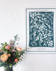 JASMINE COE Flowering Gum Leaves