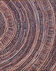 SARRITA KING Language of the Earth