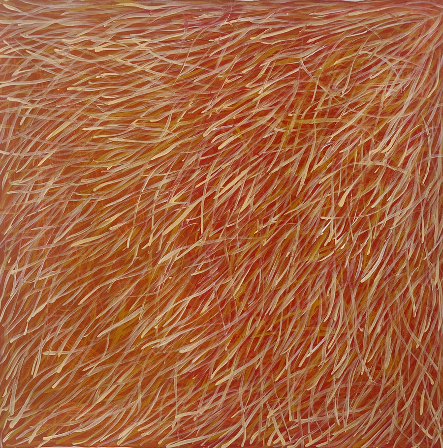 BARBARA WEIR 'Grass Seed Dreaming'