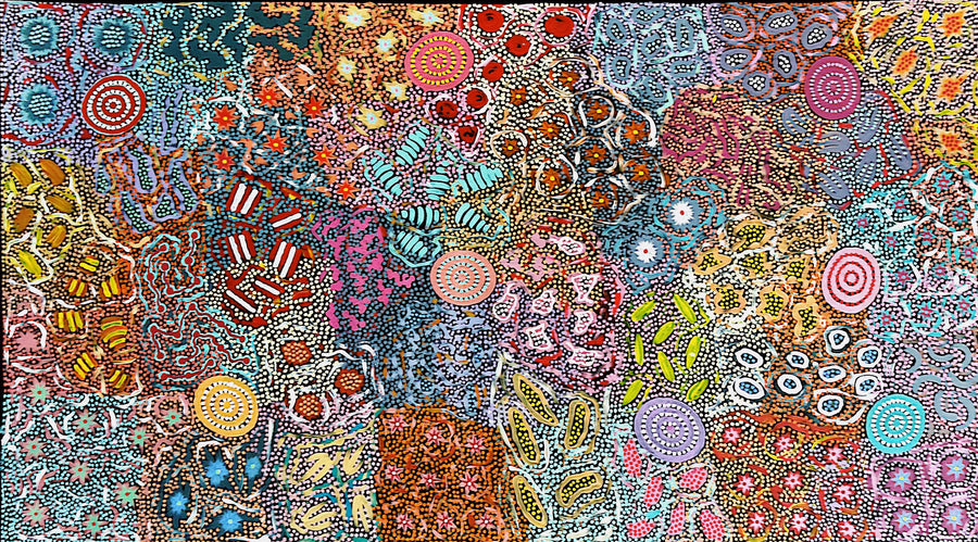 MICHELLE POSSUM NUNGURRAYI Grandmother's Country