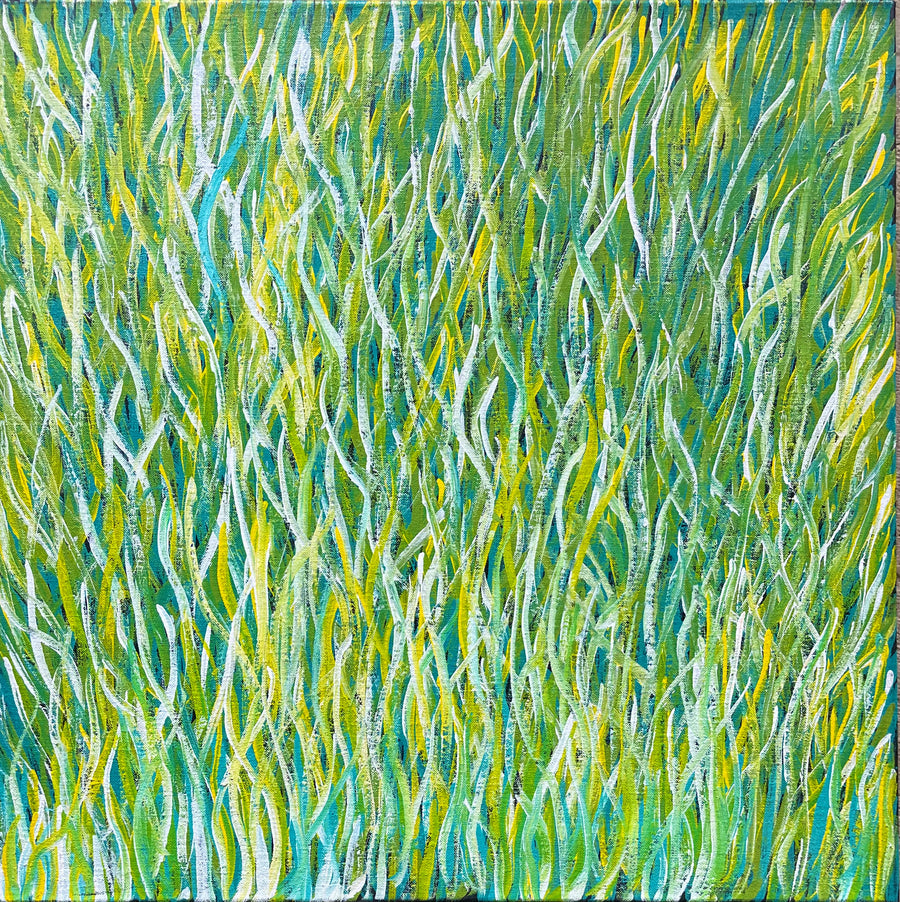 BARBARA WEIR 'Grass Seed Dreaming'