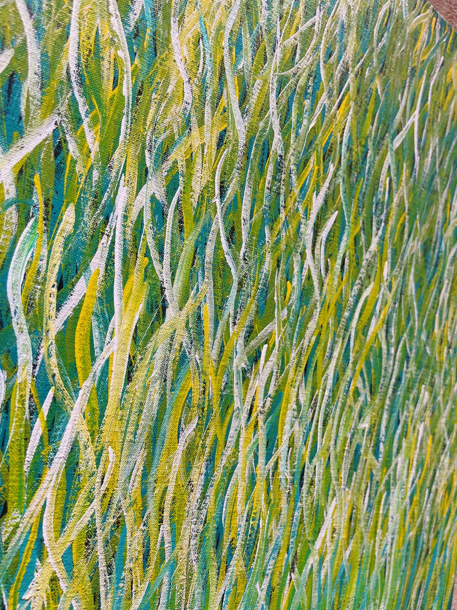 BARBARA WEIR 'Grass Seed Dreaming'