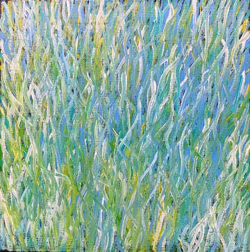 BARBARA WEIR 'Grass Seed Dreaming'