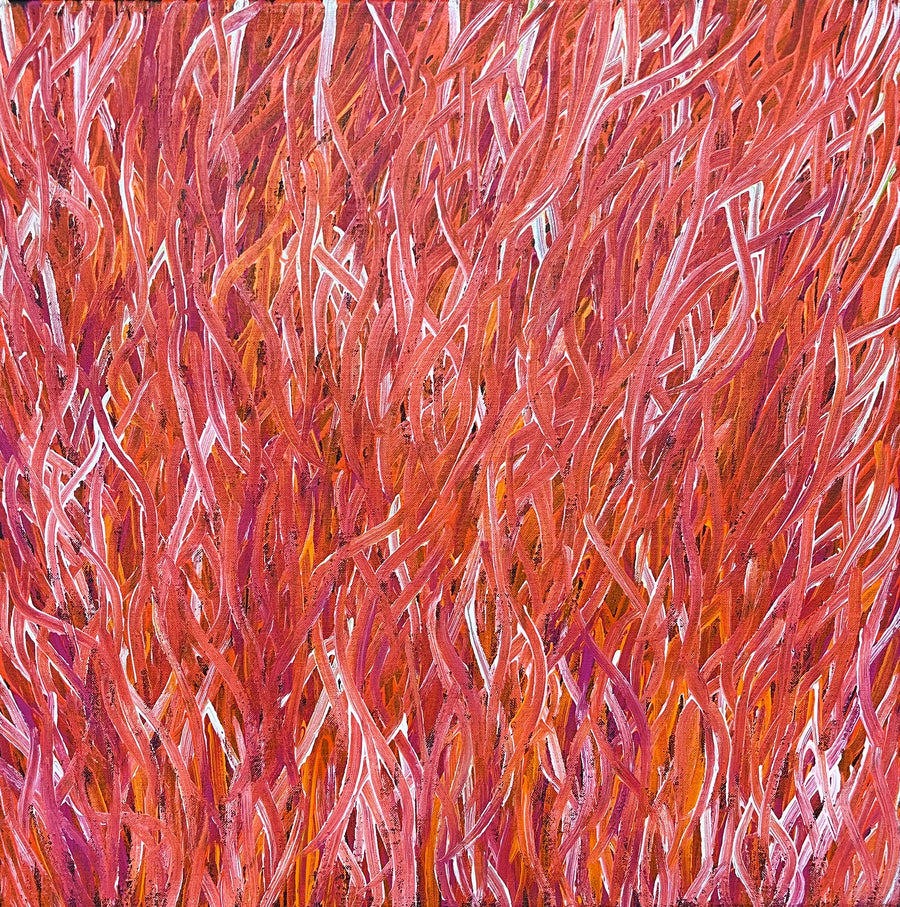 BARBARA WEIR 'Grass Seed Dreaming'