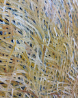 BARBARA WEIR 'Grass Seed Dreaming'