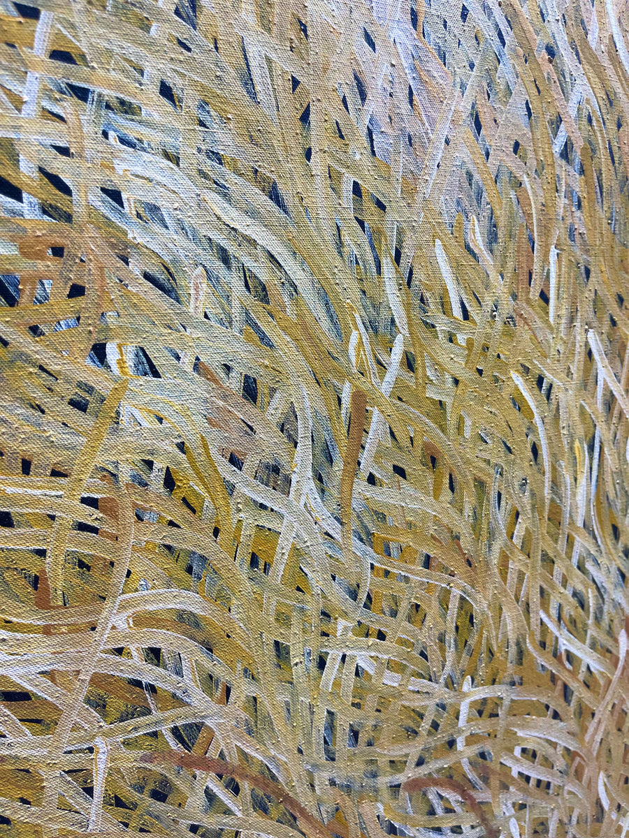 BARBARA WEIR 'Grass Seed Dreaming'