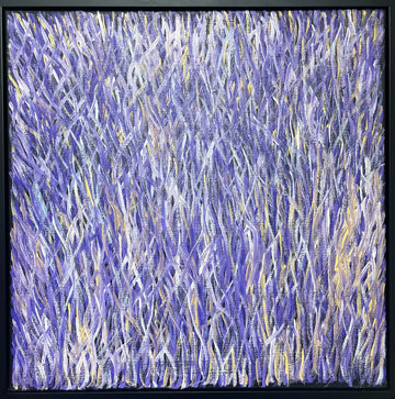 BARBARA WEIR 'Grass Seed Dreaming'