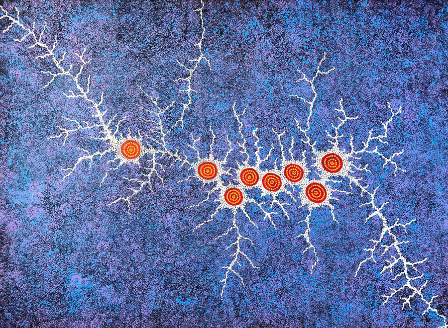 MICHELLE POSSUM NUNGURRAYI Seven Sisters Dreaming