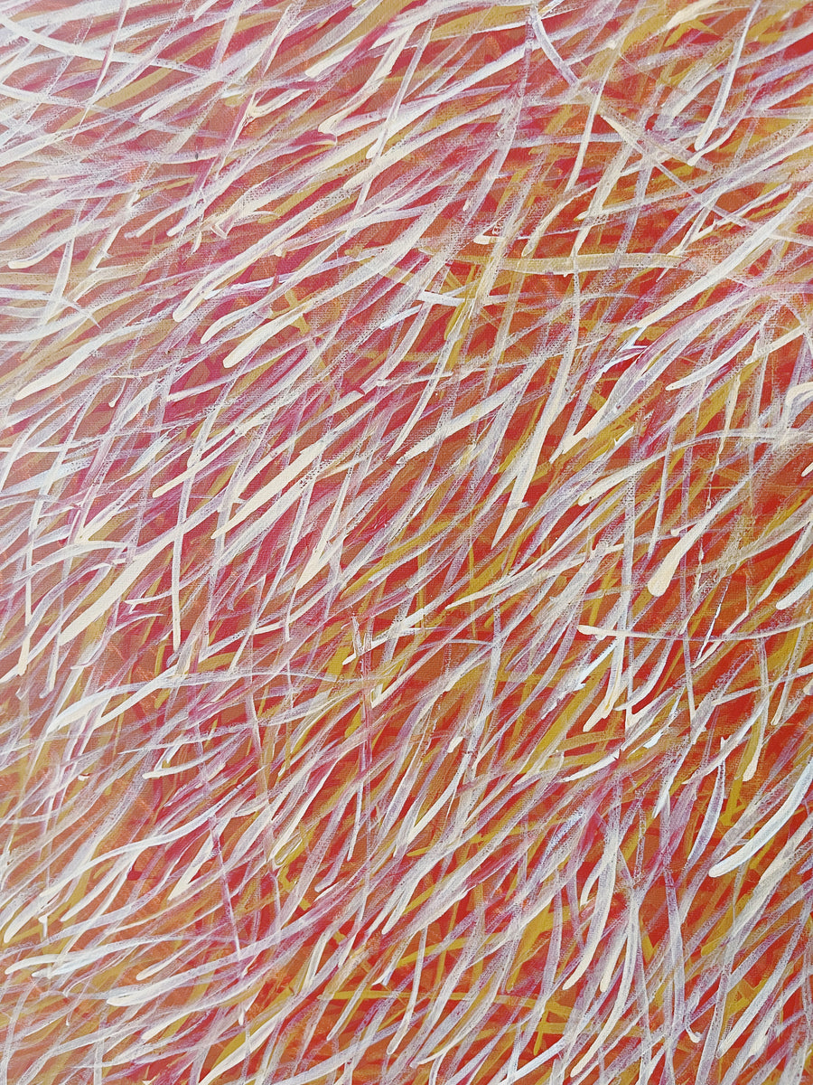 BARBARA WEIR 'Grass Seed Dreaming'