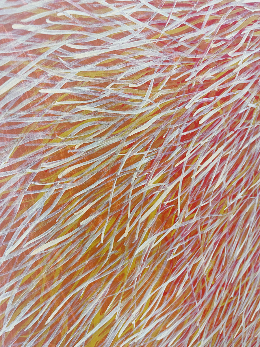 BARBARA WEIR 'Grass Seed Dreaming'