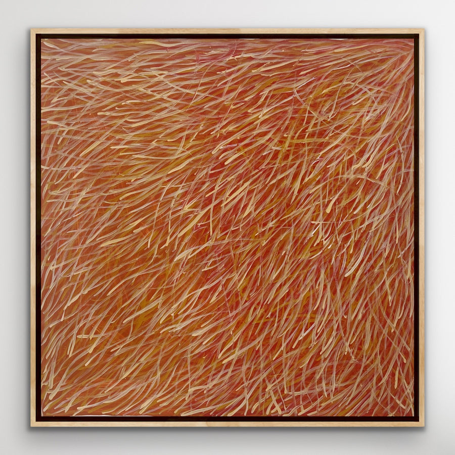 BARBARA WEIR 'Grass Seed Dreaming'