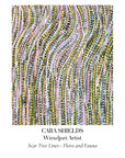 CARA SHIELDS Scar Tree Lines - Flora and Fauna Postcard