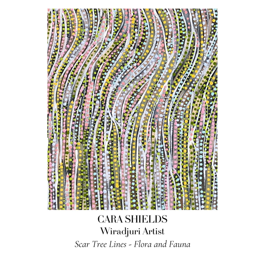 CARA SHIELDS Scar Tree Lines - Flora and Fauna Postcard