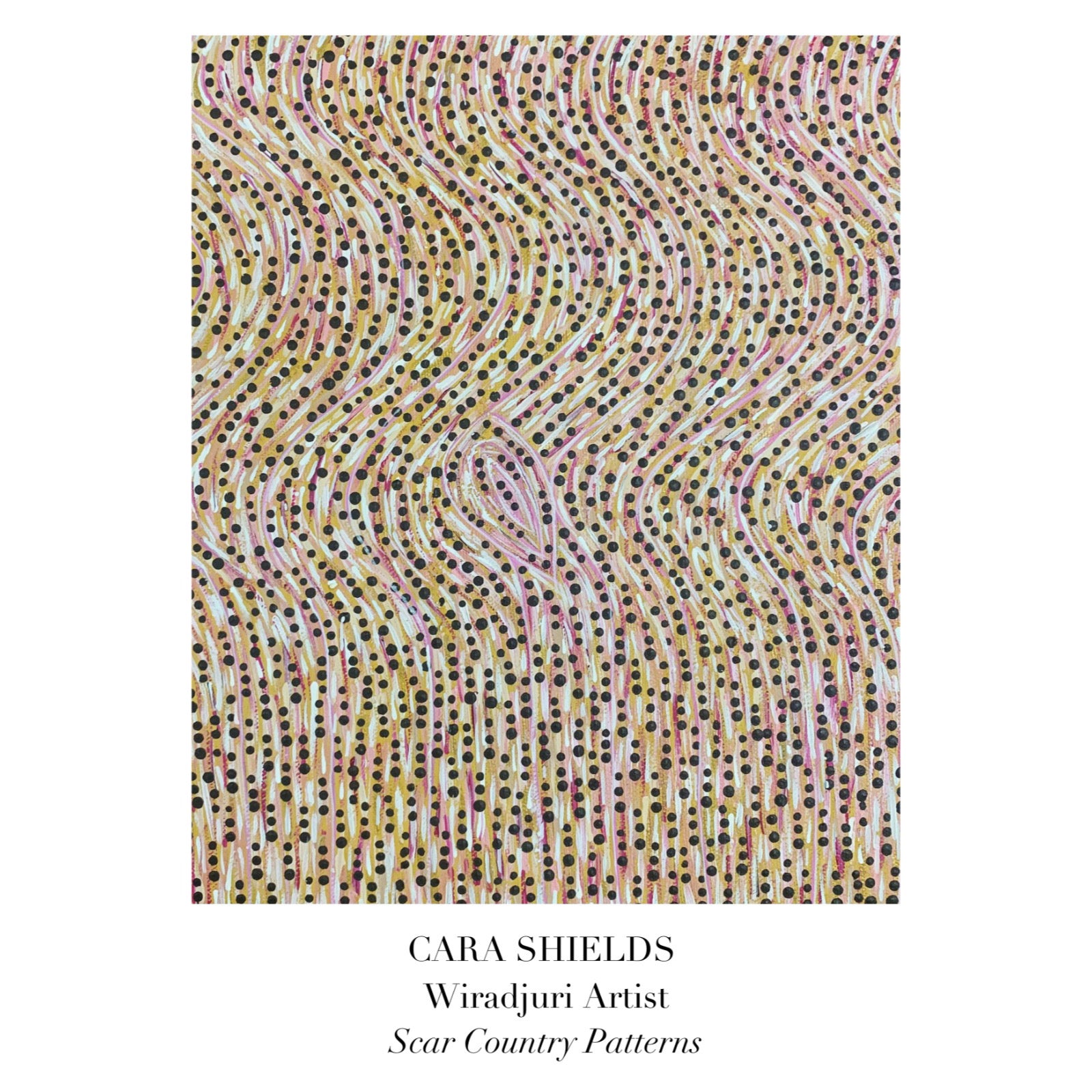 CARA SHIELDS Scar Country Patterns – Coe Gallery