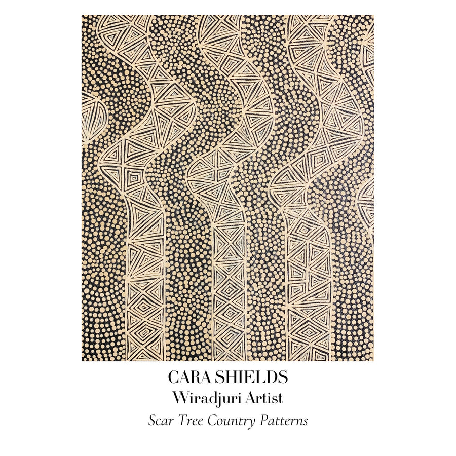 CARA SHIELDS Scar Tree Country Patterns Postcard – Coe Gallery